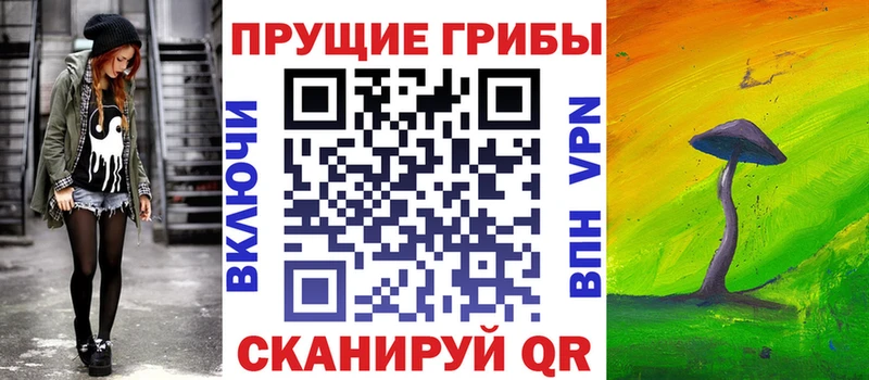 ссылка на мегу   Истра  Галлюциногенные грибы Psilocybe  где купить наркоту 